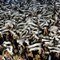 Partizan soma sexto título consecutivo
