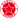 Stella Rossa