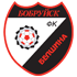 FC Belshyna Babruisk