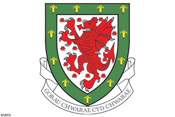 英格兰&苏格兰&威尔士&北爱尔兰的足总标志